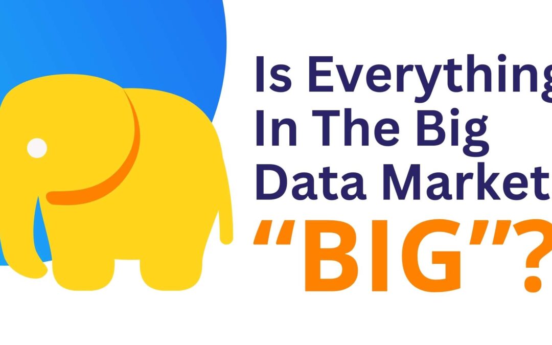 IS EVERYTHING IN THE BIG DATA MARKET “BIG”?